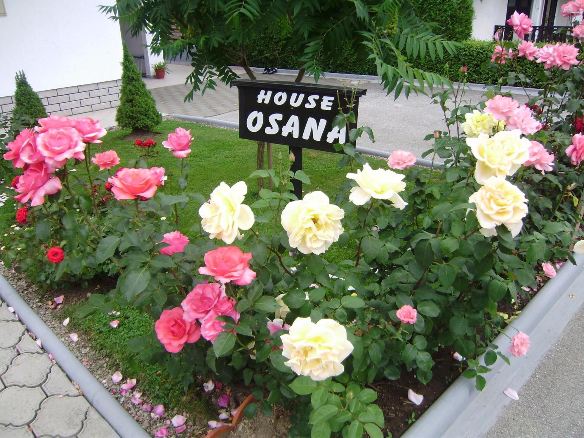 House Osana Hotel Grabovac  Exterior photo